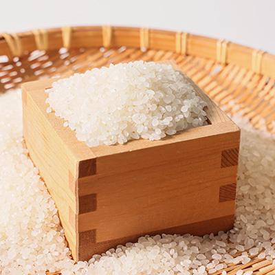 ふるさと納税 御代田町 【令和6年産】信州 御代田町産 あきたこまち 10kg |  | 02
