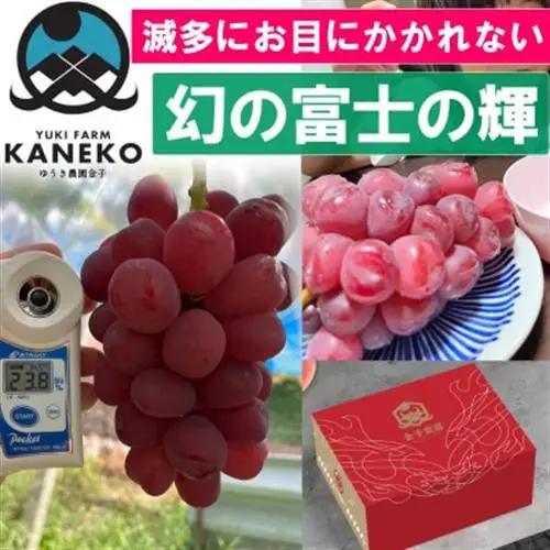 2027年発送先行受付【本場山梨の希少品種】残りわずかこれを逃せば1年待ち富士の輝 約2kg【配送不可地域：離島】【1579834】