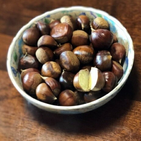 【ふるさと納税】 茹で 七立 栗 黒潮町 産 冷凍 200g×4パック 栗 和栗 秋 秋の味覚 旬 和栗 人気 フルーツ 焼き栗 栗ご飯 栗きんとん モンブラン 秋ギフト 季節限定 期間限定 ふるさと納税栗 ［1314］