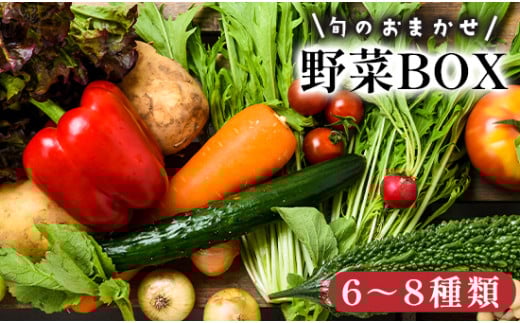 京都 舞鶴 季節の野菜BOX 詰め合せ セット 6～8種類 ： 季節の野菜 旬の野菜 旬野菜 新鮮 京野菜 食品 冷蔵 八百屋 厳選 産地直送 やさい ベジタブル ボックス 野菜セット