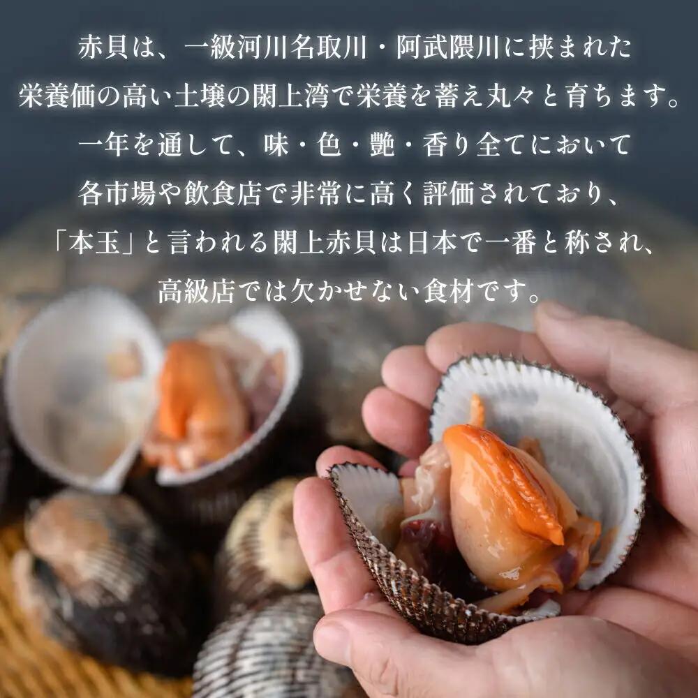 【 漁亭 浜や 】 水産庁長官賞 受賞 日本一と称される 閖上 赤貝の刺身 40g 高級食材 海鮮 魚介類 貝