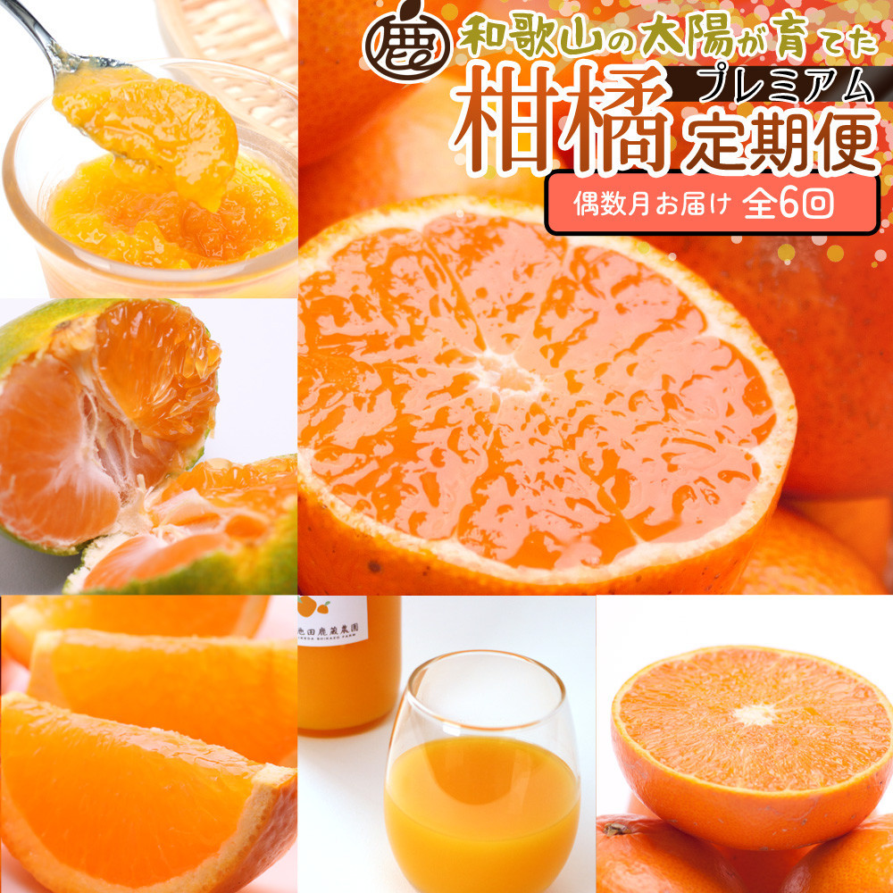 厳選 柑橘定期便M（偶数月）全6回 ［IKE294］ 303446_BB90203