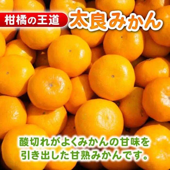 【2026年10月下旬以降発送】完熟 太良みかん 計5kg（4.5kg＋500g傷み保証分） / 佐賀県 / 山本農園 [41ATBT003]