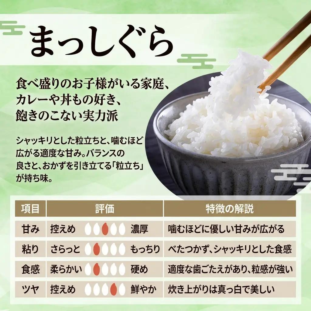 まっしぐら 特別栽培米 玄米 青森県産 まっしぐら【30kg】【先行予約】