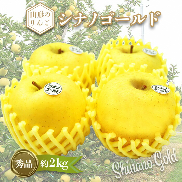 【ふるさと納税】【2026年発送】「秀品」山形のりんご（シナノゴールド）約2kg_H216(R8)