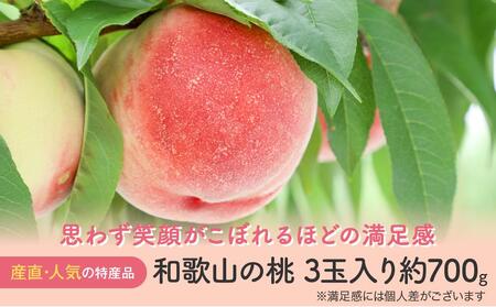 【産直・人気の特産品】和歌山の桃 3玉入り 約700g  ★2025年6月下旬から8月中旬頃順次発送★【TM93】