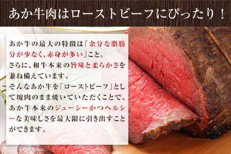 ローストビーフ 500g 牛肉 ブロック 赤身 あか牛 送料無料 《30日以内に出荷予定(土日祝除く)》熊本県産 熊本 国産牛 ローストビーフ丼 牛肉 サンドイッチ 牛肉 国産牛 あか牛 ローストビー