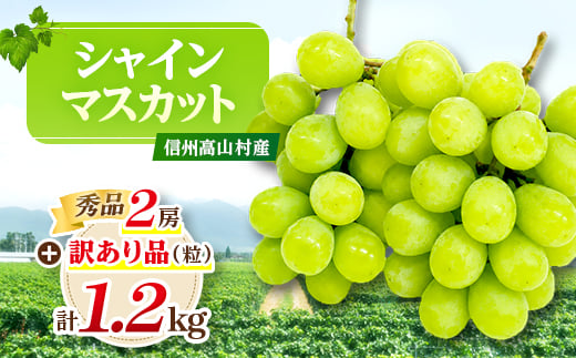 【2026年先行受付】信州高山村産 ★シャインマスカット★秀品2房+訳あり品(粒)　合計1.2kg!_シャインマスカット ぶどう 葡萄 信州 高山村産 秀品 訳あり 粒 大粒 種なし 皮ごと 冷蔵 美