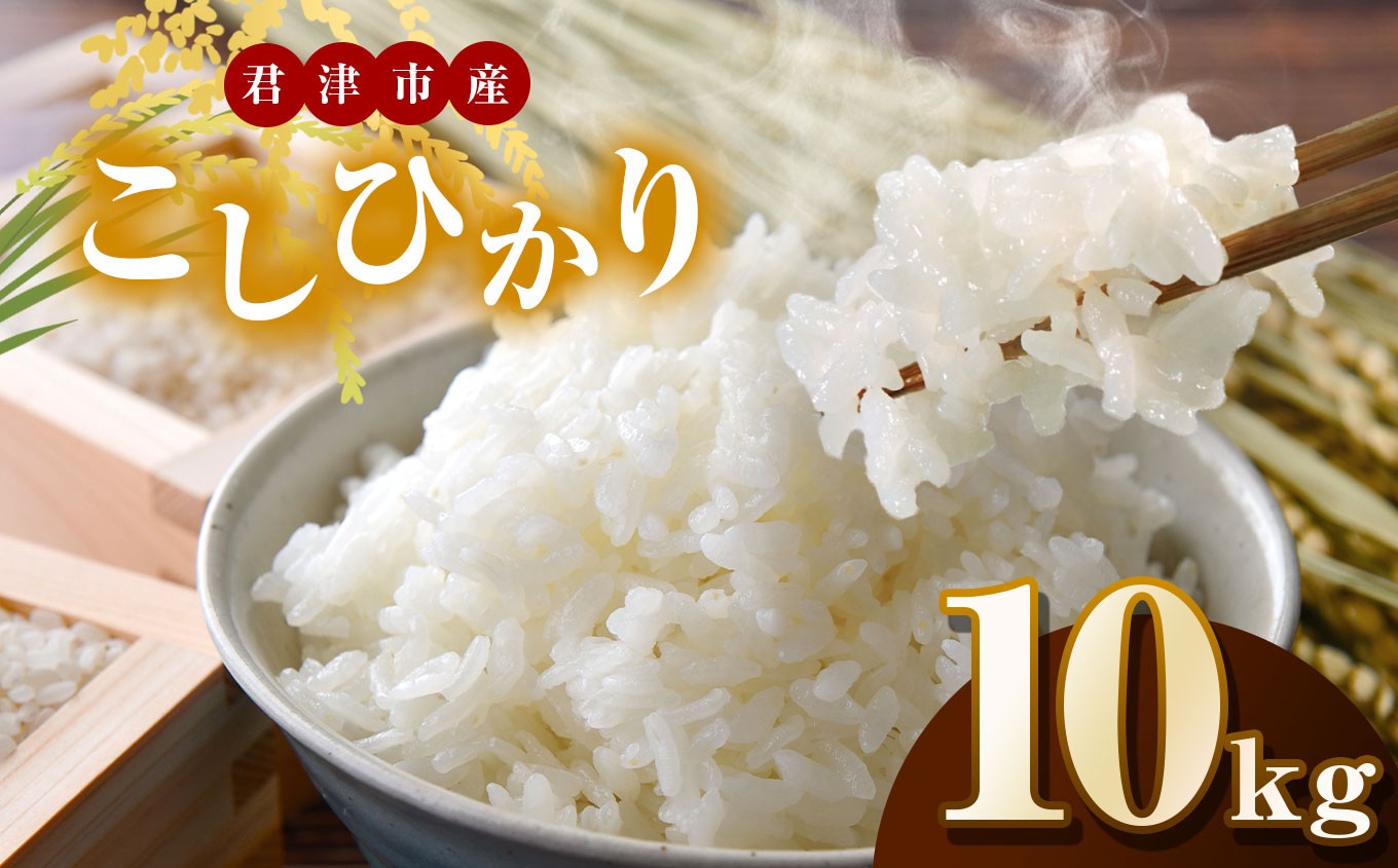 
            新米 【令和7年産】君津市産こしひかり（精米）10kg | JA さだもと コシヒカリ 米 こめ お米 おこめ 白米 精米  千葉県 君津市 きみつ
          