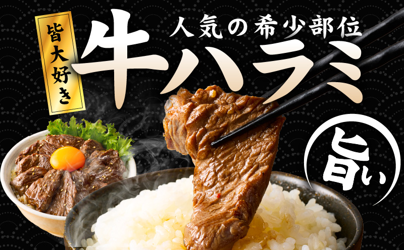 【満足牛ハラミ】3種セット （甘辛タレ漬け・中辛タレ漬け・オリジナルスパイス仕込み） 合計1.5kg 【味付け ハラミ 小分け 焼くだけ 簡単調理 BBQ 牛肉 250g×6P】 G3364