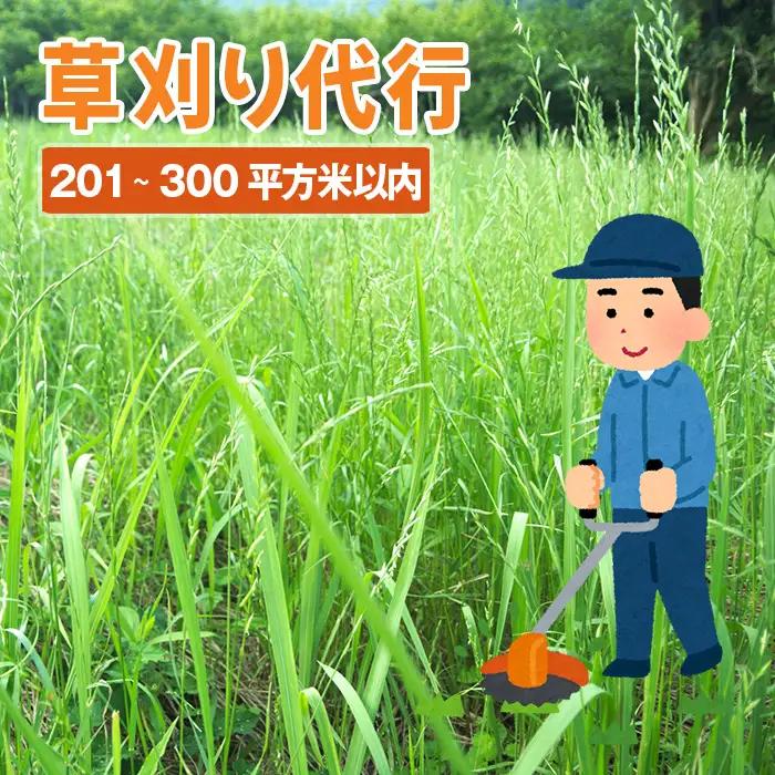 草刈り代行サービス（201～300平方メートル以内） No.758