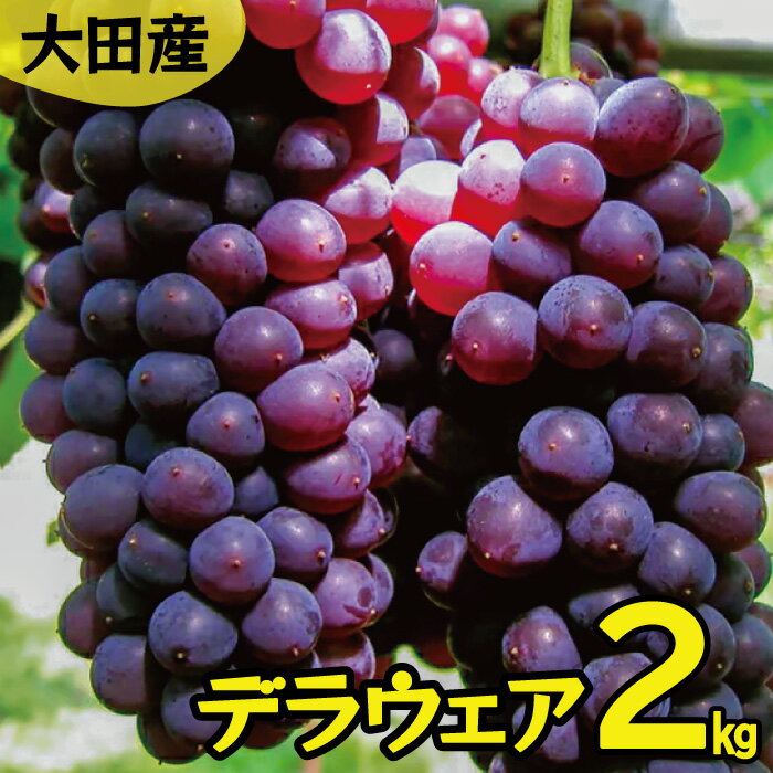 【ふるさと納税】 【果物 フルーツ ぶどう】 デラウェア 2kg 約11〜14房 国産 島根県産 大田市 期間限定 季節限定 ブドウ くだもの プレゼント 特産品 お取り寄せ グルメ