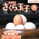 【ふるさと納税】【定期便】【選べる配送回数】純国産鶏さくらちゃんが産んだ桜色のさくら玉子 五分咲き（Mサイズ）30個 ｜ 卵 鶏卵 たまご タマゴ 生卵 たまごかけご飯 濃厚 甘み 国産