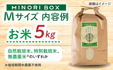 糸島産 肉 米 野菜 果物 厳選詰め合わせ MINORI BOX Mサイズ 糸島市 / emma.Inc / 米 肉 野菜 果物 詰め合わせ[AOP011]