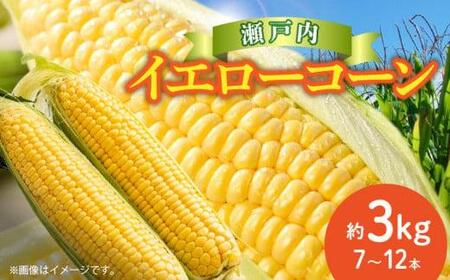 ＼寄附額改定／瀬戸内イエローコーン 約3kg【2026-6月上旬～2026-7月中旬配送】| コーン
