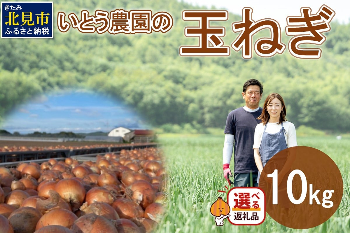 
【予約】いとう農園の玉ねぎ 10kg ( 玉葱 タマネギ 野菜 期間限定 数量限定 10キロ )【181-0001】
