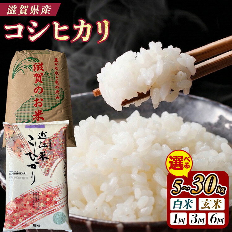 【ふるさと納税】＼選べる内容量・配送回数／【令和7年産】近江米コシヒカリ（精米・玄米）