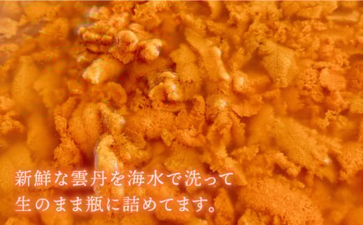 紫ウニ 120g 壱岐の海ごはん 生！！「紫うに」60g 2本入り 《壱岐市》【メイリ・キッチン】ウニ 雲丹 [JBD005] 26000 26000円