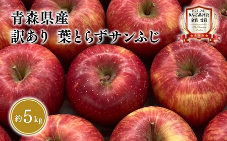 1～3月 訳あり 葉とらず サンふじ 家庭用 約5kg 【岩渕農園・平川市産・青森りんご・1月・2月・3月[hi-0023-003]