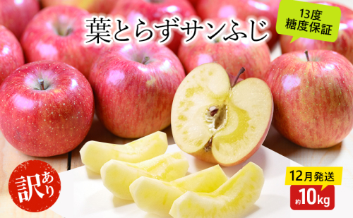 りんご【12月・1月発送】蜜入り 糖度13度以上 訳あり 家庭用 葉とらず サンふじ 約10kg【青森りんご 果物 フルーツ デザート 食後 おやつ 産地直送】