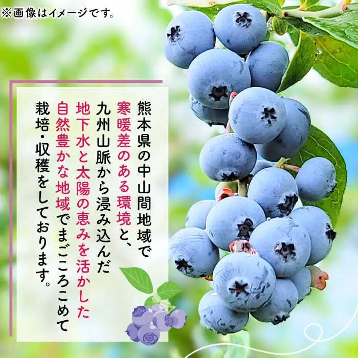 【訳あり】 冷凍ブルーベリー 小粒 約2kg（約500g×4pc） 【すみれファーム】[ZEP047]