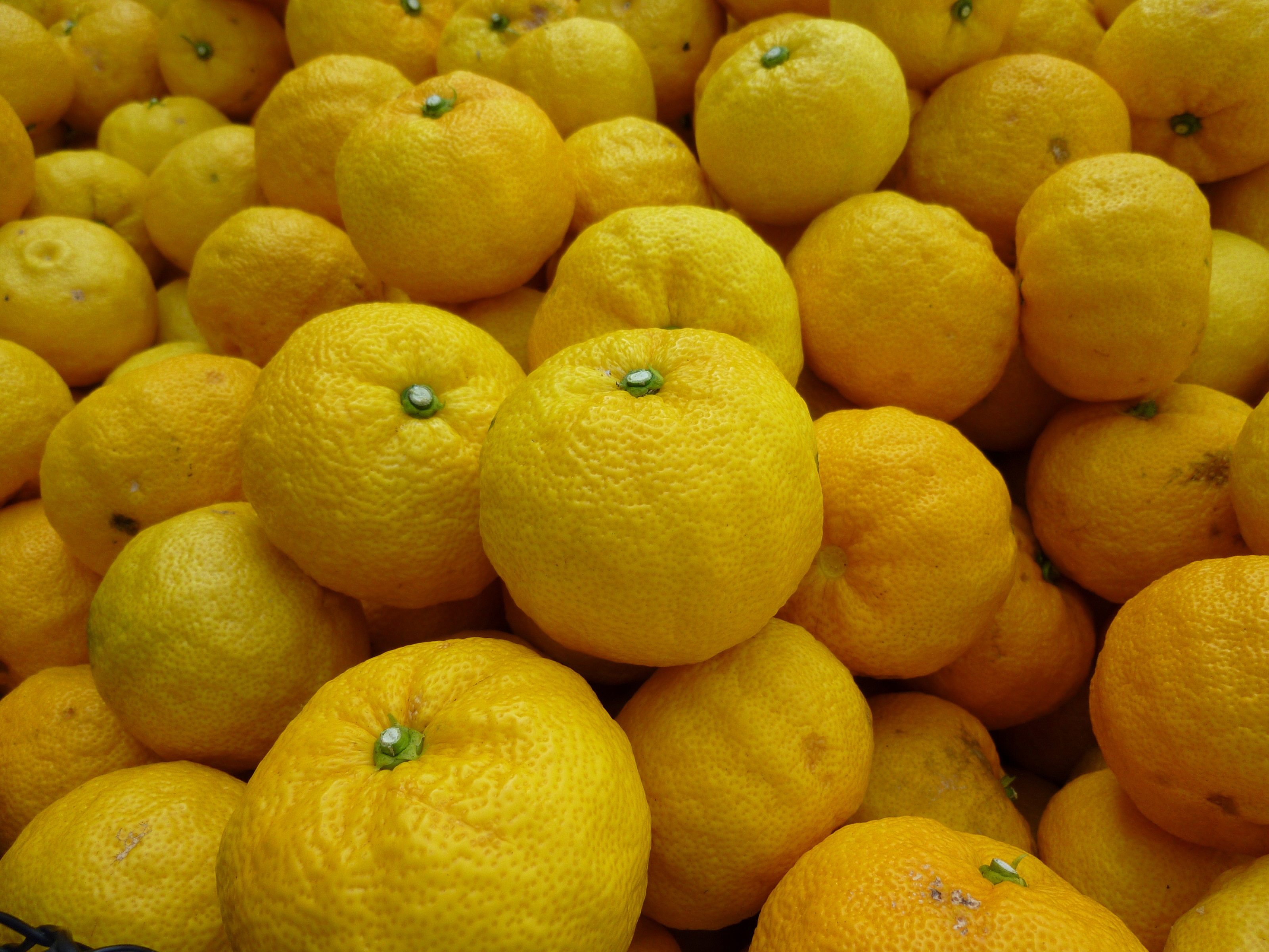 全国土産品連盟推奨品ゆずの粋・ゆずの香味セット