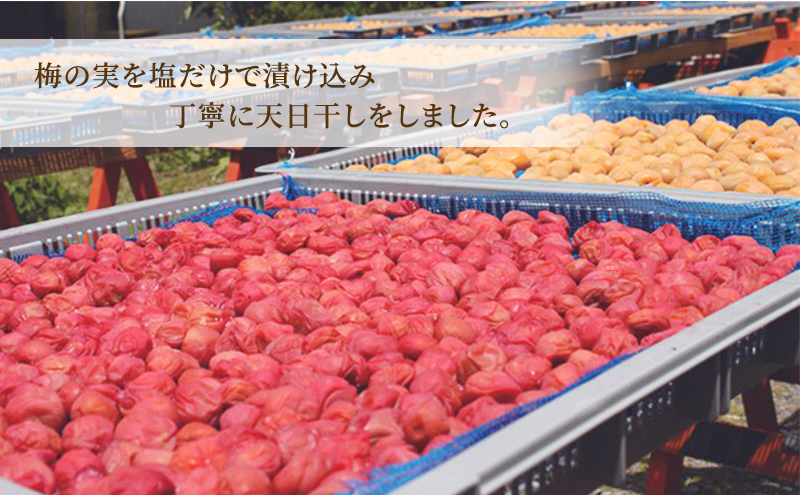 ★梅干し★極上の梅（志戸呂焼壺(つや無し)入り）贈り物 ギフト 人気 厳選 島田市
