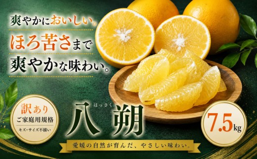 ＜訳あり 愛媛県産八朔 合計約7.5kg＞『2027年2月上旬～3月下旬迄に順次出荷予定』ご家庭用 爽やか 果汁 果物 はっさく くだもの フルーツ みかん オレンジ 柑橘 人気柑橘 特産品 株式会社OSN 愛媛県 西予市 【常温】