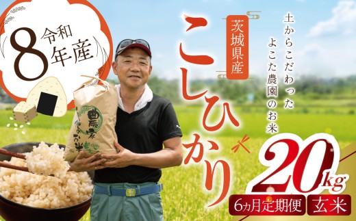 【6ヵ月定期便】令和8年産 コシヒカリ 玄米 20kg 新米 米 こしひかり 茨城県産こしひかり コシヒカリ 茨城産こしひかり 茨城こしひかり 茨城県産 こめ コメ お米 2026年産 ごはん 数量限定 茨城県 つくば市