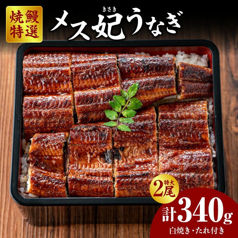 【ふるさと納税】焼鰻 特選メス妃うなぎ 特大2尾【計340g 白焼き・たれ付き】三河一色産 鰻 特大うなぎ 妃うなぎ メスうなぎ 国産 葵うなぎ 愛知県 西尾市 焼うなぎ 冷凍便 送料無料 Y098