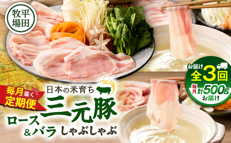 【全3回 毎月定期便】日本の米育ち平田牧場 三元豚ロース 250g・バラしゃぶしゃぶロース 250g　T036-T02-01