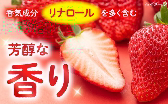 かおりの いちご 3kg