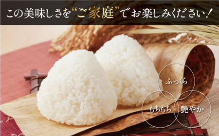 2026年1月発送 令和7年産 ゆめぴりか 玄米 10kg 【北彩香】| 妹背牛産 北海道 米 道産 特A