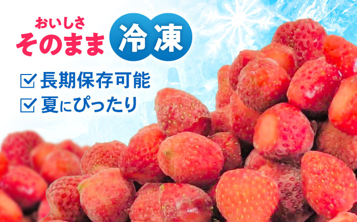 【完熟の恵み、ぎゅっと冷凍！】冷凍いちご「ゆめのか」 M-Lサイズ 1.5kg(500g×3) / いちご イチゴ 苺 冷凍 冷凍いちご 冷凍フルーツ イチゴジャム / 諫早市 / むらたサービス [