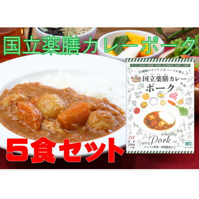 【ふるさと納税】30種のスパイスを使用した国立薬膳カレーポーク　200g×5食セット　小麦粉・ラード不使用【1591136】