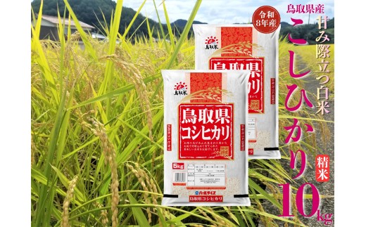 356M.鳥取県産こしひかり◇精米10kg◇令和8年産