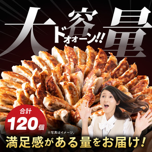 【3ヶ月定期便】満腹餃子 リピーター続出！ボリューム満点！120個（３kg ）×3回 老舗 大容量 国産 焼き餃子 冷凍 ぎょうざ ギョーザ 冷凍餃子 簡単調理 惣菜 おかず おつまみ スタミナ 高評