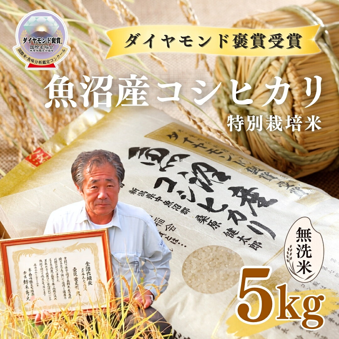 【ふるさと納税】【令和8年産先行予約】無洗米 5kg 最高級 魚沼産 コシヒカリ 特別栽培米 ダイヤモンド褒賞受賞 選べる配送回数 | こしひかり お米 おこめ こめ コメ 白米 無洗米 ご飯 ごはん おすすめ 人気 新潟県 津南町