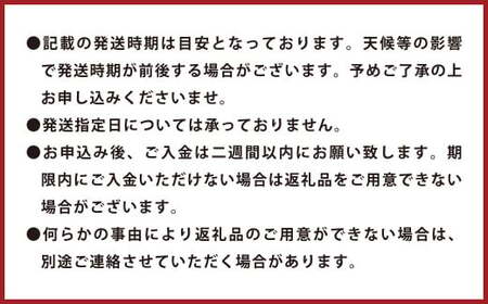 環境マイスターの不知火 訳あり 4kg（栽培期間中は無肥料・低農薬） くだもの 果物 フルーツ 不知火 しらぬい みかん 柑橘 【2026年2月上旬～5月上旬迄順次発送予定】