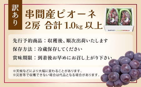 TNBP2 ＜先行予約・訳あり＞ 串間産ピオーネ　計1.0kg以上（2房）種なし【谷口農園】