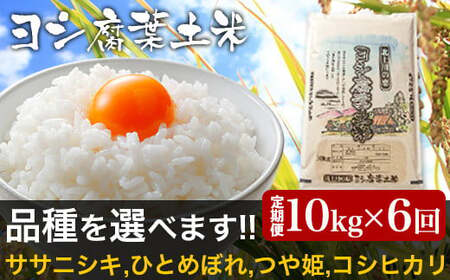 【新米予約】令和6年産＜定期便＞ヨシ腐葉土米 精米60kg（10kg×6回発送）ひとめぼれ