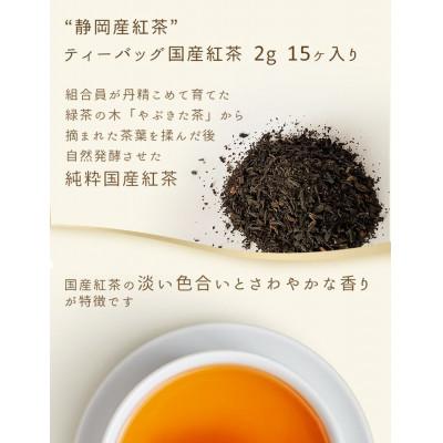 ふるさと納税 菊川市 お茶専門店の作った変わり種!た〜んと入った2種9袋セット |  | 01
