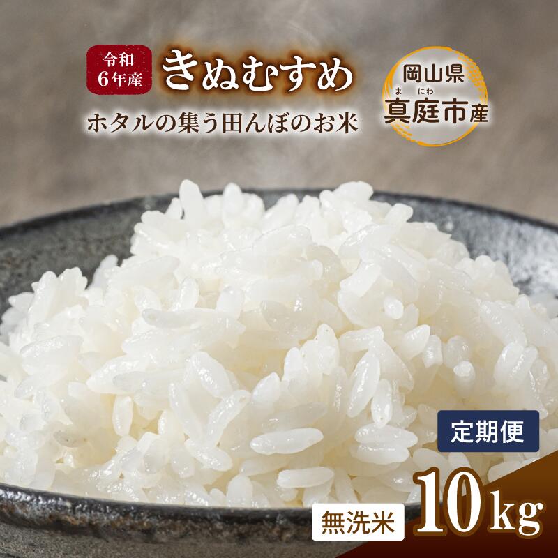 【ふるさと納税】＜定期便 全3回＞ 令和6年産 きぬむすめ 無洗米 10kg ×3回 岡山県真庭市産 ／ 国産 お米 ブランド米【takenaka-tkb004】
