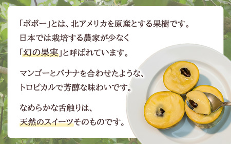 フルーツ R8 先行予約 ポポー 約1kg 4～5個 幻のフルーツ