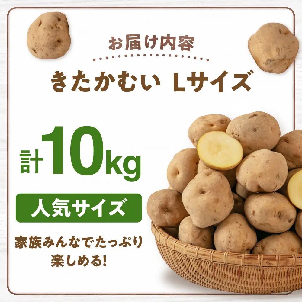  【先行予約】きたかむい 10kg [AJAK012] じゃがいも 