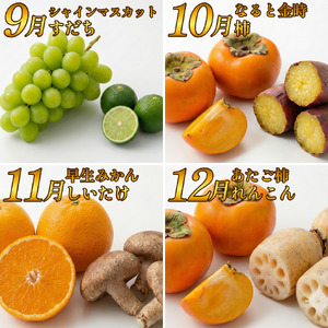 フルーツ 野菜 定期便 3回 定期