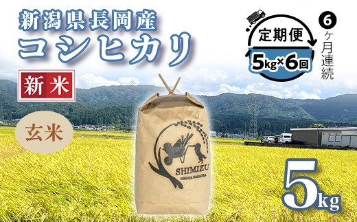 
            N5-G056【6ヶ月連続お届け】新潟県長岡産コシヒカリ玄米5kg
          