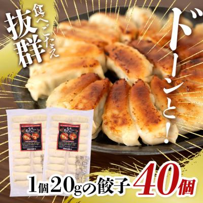 ふるさと納税 糸満市 沖縄高級ブランド豚 濃厚な肉汁が溢れる!美ら島あぐー餃子 20個入(400g)×2パック 合計40個 |  | 01