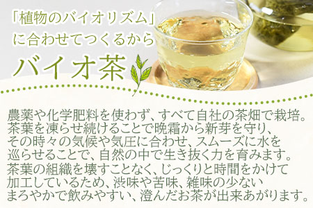 ＜バイオ茶500パック＞自家茶園の茶葉100％のお茶をお楽しみください！【B-0803-km】【宮崎上水園】