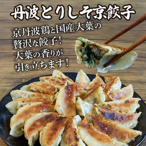 【京都餃子 一条の餃子】餃子2種セット「にんにく餃子・丹波とりしそ餃子」120個（餃子 冷凍餃子 惣菜餃子）